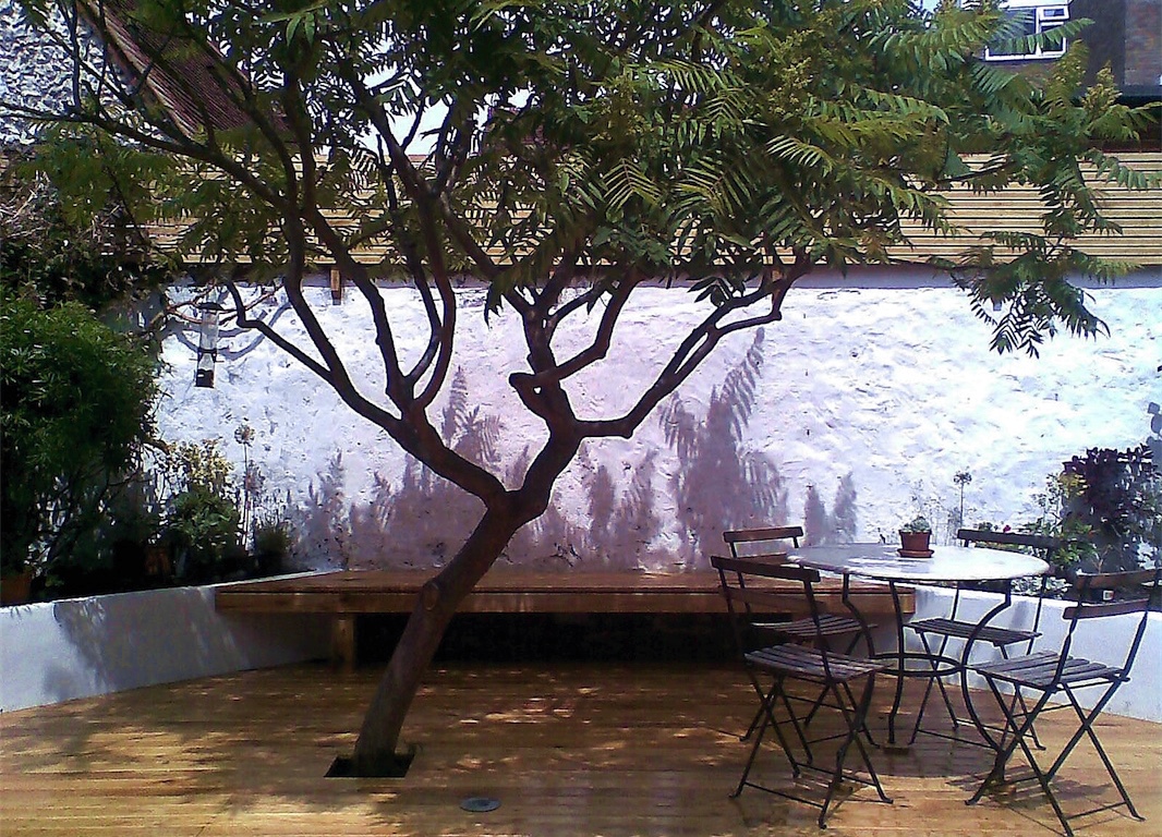 A decked courtyard garden based around an existing Sumac tree.